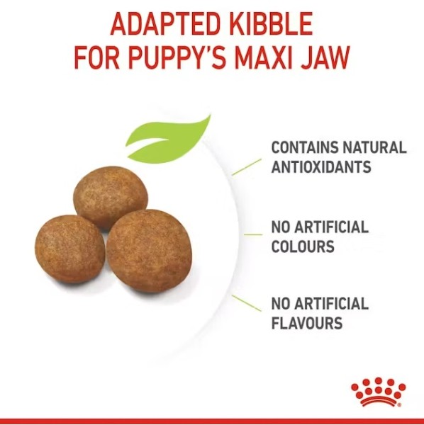 Royal Canin Maxi Puppy - Пълноценна суха храна за подрастващи кученца от 2- до 15-месечна възраст от едри породи
